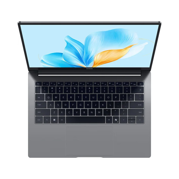 HONOR MagicBook X14 2025 16GB/512GB FRG-X 5301ALXL (без ОС) серый