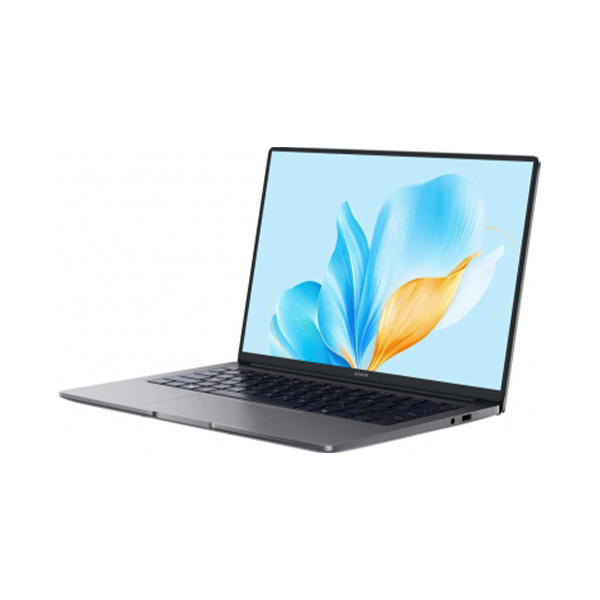 HONOR MagicBook X14 Plus 2025 16GB/512GB FRB-X 5301ALWC (Windows 11 Home) серый