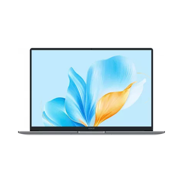 HONOR MagicBook X16 2025 16GB/512GB BRG-565 5301ALXN (без ОС) серый