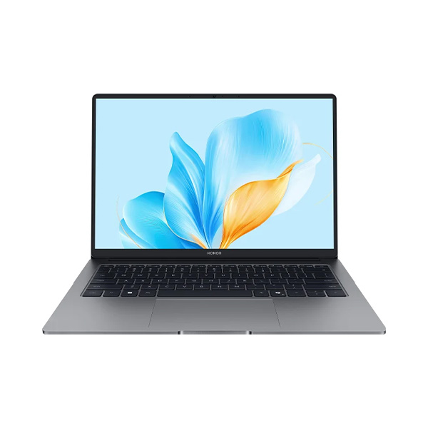 HONOR MagicBook X14 2025 16GB/512GB FRG-X 5301ALXL (без ОС) серый