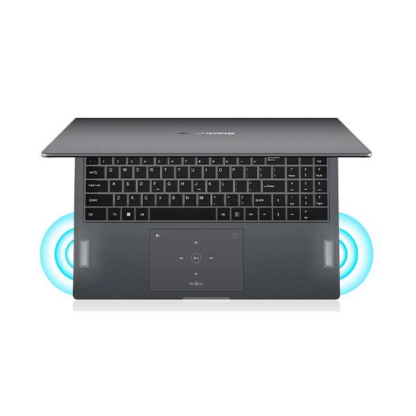 Ноутбук Blackview AceBook 12 16GB/512GB BVAceBook12-I512450H (Windows 11 Pro) серый